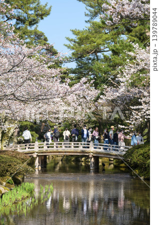 桜が美しい兼六園の春 桜が美しい兼六園の春 139789044