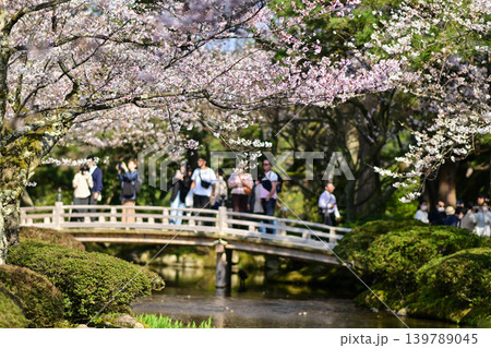 桜が美しい兼六園の春 139789045