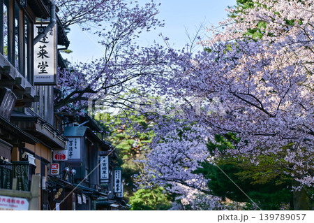 桜が美しい兼六園の春 桜が美しい兼六園の春 139789057
