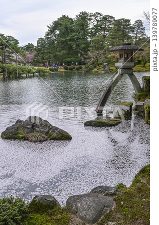桜が美しい兼六園の春 139789077