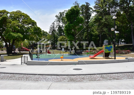 神奈川県綾瀬市　光綾公園南側園地の遊具と新緑 139789319