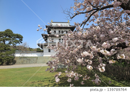 松前城と桜横構図 松前城と桜横構図 139789764