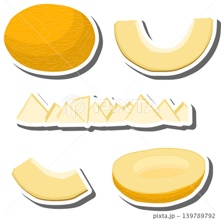 Fruit theme from set juicy delicious melon of various sizes 139789792