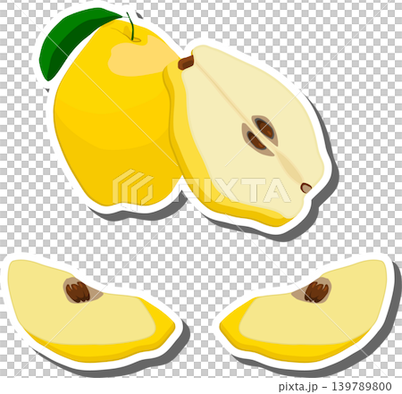 Fruit theme from set juicy delicious quince of various sizes Fruit theme from set juicy delicious quince of various sizes 139789800