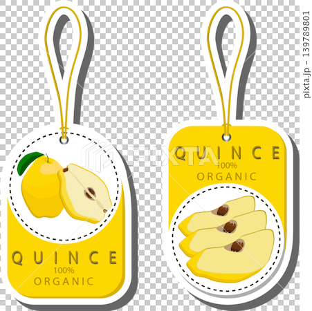 Fruit theme from set juicy delicious quince of various sizes 139789801