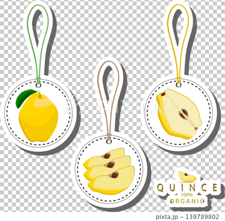 Fruit theme from set juicy delicious quince of various sizes Fruit theme from set juicy delicious quince of various sizes 139789802