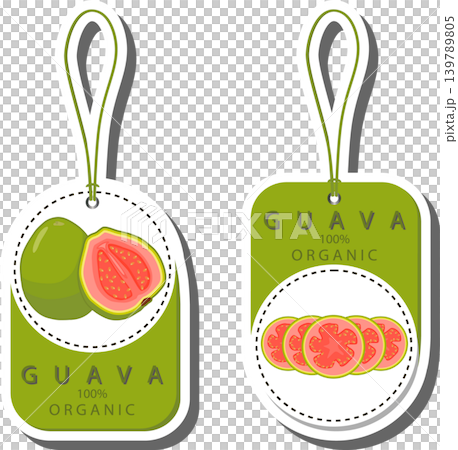 Fruit theme from set juicy delicious guava of various sizes Fruit theme from set juicy delicious guava of various sizes 139789805