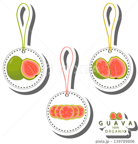 Fruit theme from set juicy delicious guava of various sizes Fruit theme from set juicy delicious guava of various sizes 139789806