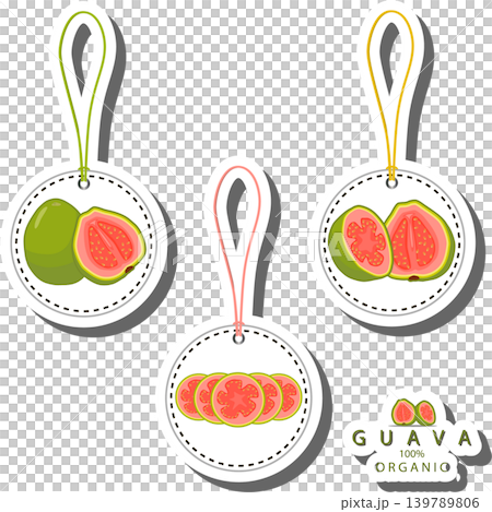Fruit theme from set juicy delicious guava of various sizes Fruit theme from set juicy delicious guava of various sizes 139789806