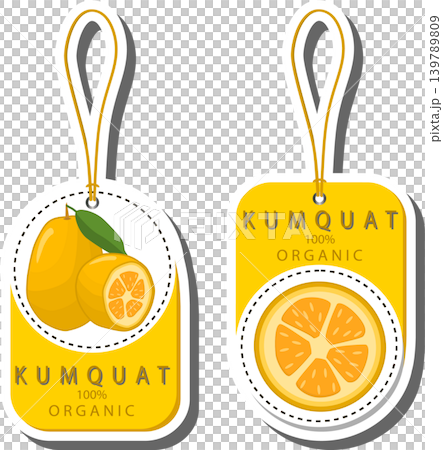 Fruit theme from set juicy delicious kumquat of various sizes Fruit theme from set juicy delicious kumquat of various sizes 139789809