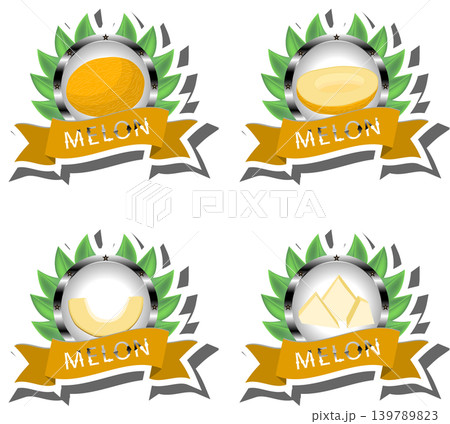 Fruit theme from set juicy delicious melon of various sizes 139789823