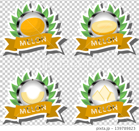 Fruit theme from set juicy delicious melon of various sizes Fruit theme from set juicy delicious melon of various sizes 139789823