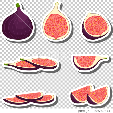 Fruit theme from set juicy delicious fig of various sizes Fruit theme from set juicy delicious fig of various sizes 139789853