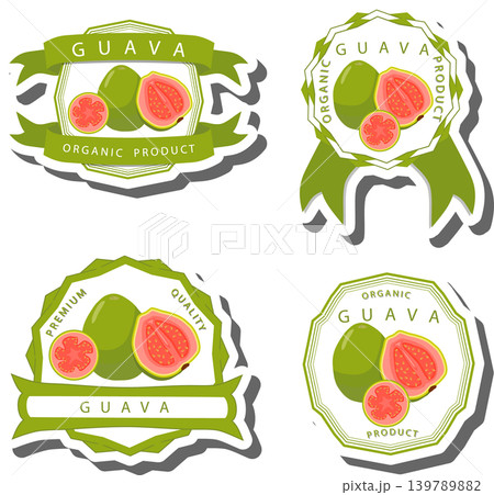 Fruit theme from set juicy delicious guava of various sizes 139789882