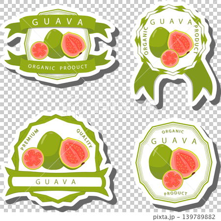 Fruit theme from set juicy delicious guava of various sizes 139789882