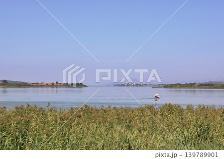 Golyazi Lakeside Village Bursa,Turkiye. Serene view of Golyazi on Uluabat Lake, Bursa, Turkey. Golyazi Lakeside Village Bursa,Turkiye. Serene view of Golyazi on Uluabat Lake, Bursa, Turkey. 139789901
