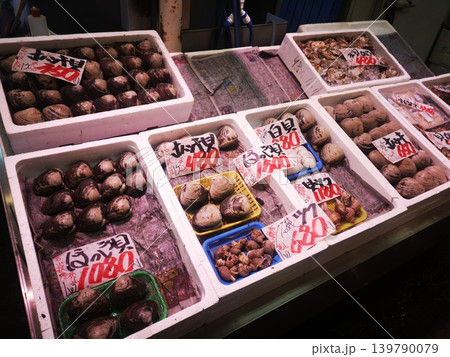 北海道苫小牧港の市場 139790079