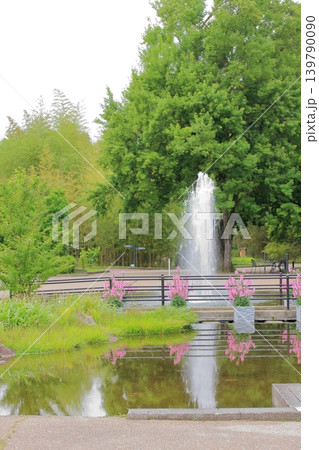 京都府立植物園の花々たち 京都府立植物園の花々たち 139790090