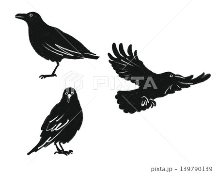 手描き風のカラスのイラスト 3点セット 139790139