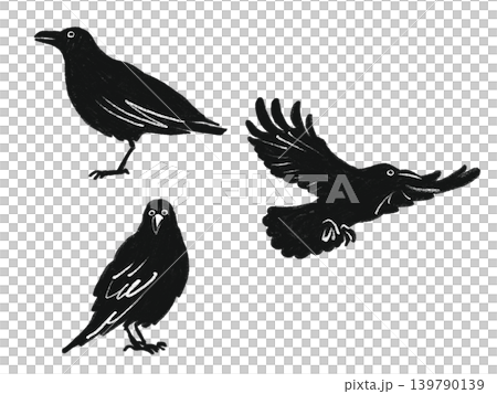 手描き風のカラスのイラスト 3点セット 139790139