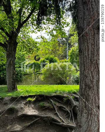 Green park scene featuring trees, grass, and a swing set, with visible 139790159
