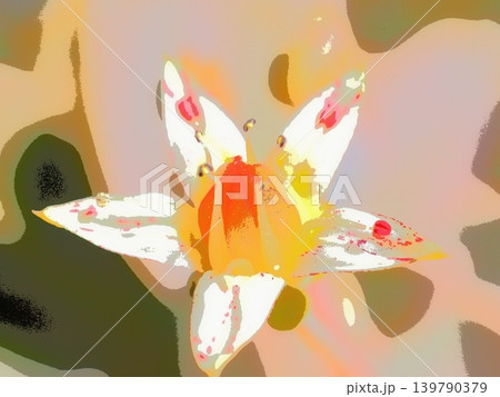 朧月の花(afr20260511132443) 朧月の花(afr20260511132443) 139790379