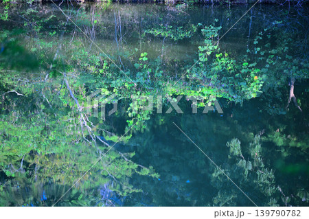 八丁湖　水鏡　埼玉県吉見町 139790782