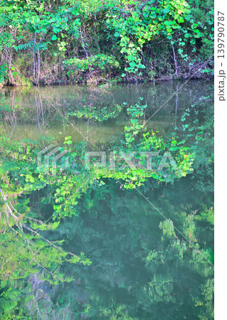 八丁湖 水鏡 埼玉県吉見町 八丁湖 水鏡 埼玉県吉見町 139790787