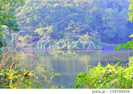 八丁湖 埼玉県吉見町 八丁湖 埼玉県吉見町 139790956