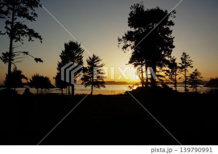 木立の間から差し込む夕日と静かな海辺 139790991