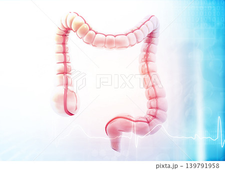 Large intestine anatomy model on medical background Large intestine anatomy model on medical background 139791958