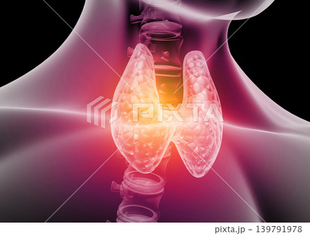 Human thyroid anatomy 139791978
