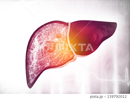 Diseased human liver on science background 139792012