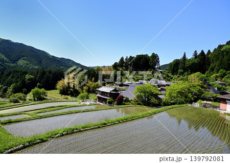 豊能町　水を張った棚田 139792081