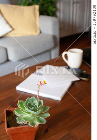 .Flowering succulent with out-of-focus background of virtual work session 139792109
