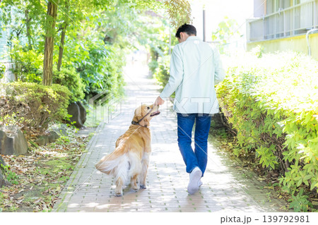 ペット　大型犬　お散歩をしているゴールデンレトリバーと男性 139792981