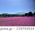 山梨県の富士芝桜まつり会場の公園からの富士山の景色 139793034