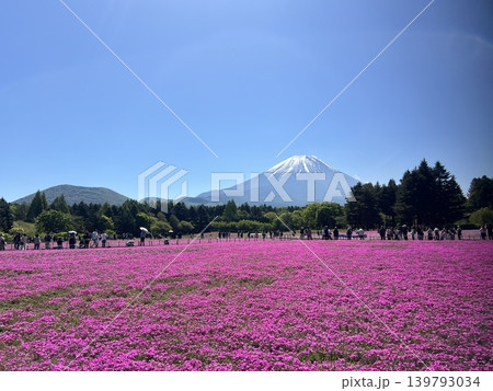 山梨県の富士芝桜まつり会場の公園からの富士山の景色 山梨県の富士芝桜まつり会場の公園からの富士山の景色 139793034