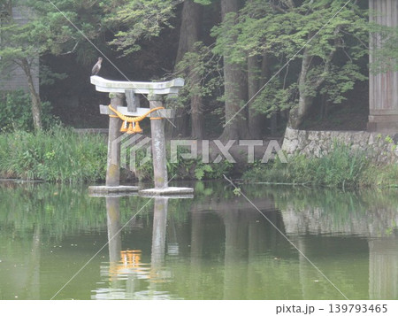 大分県由布市湯布院町、神秘的な絶景と由布院の人気観光スポット「金鱗湖」に立つ天祖神社の水中鳥居 大分県由布市湯布院町、神秘的な絶景と由布院の人気観光スポット「金鱗湖」に立つ天祖神社の水中鳥居 139793465