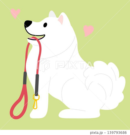 Samoyed dog want to go for walk cartoon illustration Samoyed dog want to go for walk cartoon illustration 139793686