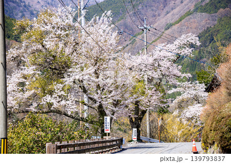花が咲いていい雰囲気の長野県の里山の春の景色 花が咲いていい雰囲気の長野県の里山の春の景色 139793837
