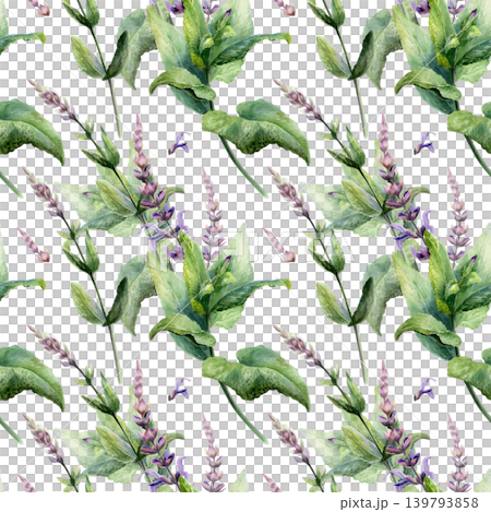 Clary sage seamless pattern watercolor illustration. Salvia medicinal herb for aromatherapy pharmacy branding, stress relief oil packaging, organic antiaging cosmetics design, wellness print Clary sage seamless pattern watercolor illustration. Salvia medicinal herb for aromatherapy pharmacy branding, stress relief oil packaging, organic antiaging cosmetics design, wellness print 139793858