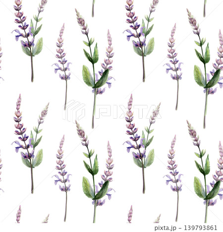 Sage seamless pattern watercolor illustration. Salvia medicinal herb blossom for throat sore pharmacy branding, cough remedy packaging, dental care tea design, organic herbal wellness backdrop Sage seamless pattern watercolor illustration. Salvia medicinal herb blossom for throat sore pharmacy branding, cough remedy packaging, dental care tea design, organic herbal wellness backdrop 139793861