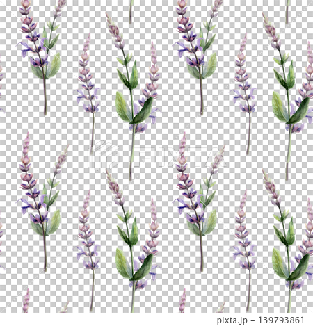 Sage seamless pattern watercolor illustration. Salvia medicinal herb blossom for throat sore pharmacy branding, cough remedy packaging, dental care tea design, organic herbal wellness backdrop Sage seamless pattern watercolor illustration. Salvia medicinal herb blossom for throat sore pharmacy branding, cough remedy packaging, dental care tea design, organic herbal wellness backdrop 139793861