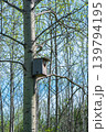 Birdhouse on a tree in the spring forest. 139794195
