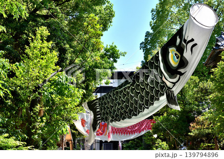 亀戸の神社の境内に飾られた大きな鯉のぼり 亀戸の神社の境内に飾られた大きな鯉のぼり 139794896