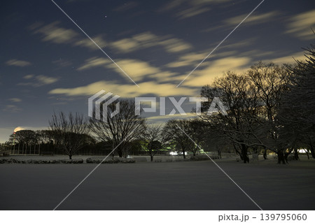 雪景色の朝の花島公園 雪景色の朝の花島公園 139795060