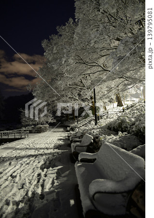 雪景色の朝の花島公園 雪景色の朝の花島公園 139795081