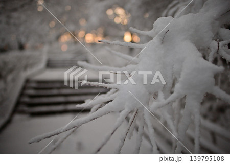 雪景色の朝の花島公園 139795108