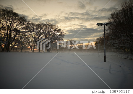 雪景色の朝の花島公園 139795117